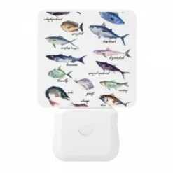 Night Light, A Collection Of Fish With Their Names Written Above Them. 10 Night Light, A Collection Of Fish With Their Names Written Above Them. -Cute Night Light Shop 0b02d93018840eaebd90d8deac0516db630628c1