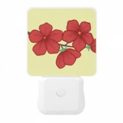 Night Light, E6d5d7a8-4d9c-424b-a68e-bcb03afd2abd.jpeg -Cute Night Light Shop 0f948e50da5fe2f343346b4f1b68e2650da17518