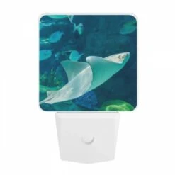 Night Light, A White Stingray Swims In The Ocean. -Cute Night Light Shop 1295fa2bb99e182b7dc6816d717cfc25b42ca660