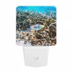 Night Light, A Colorful Fish Swims Through A Coral Reef. -Cute Night Light Shop 18020d812eae7f6861e64eead32746fd07d310fb