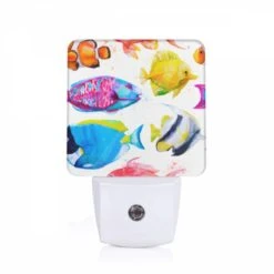 Night Light, A Collection Of Colorful Fish