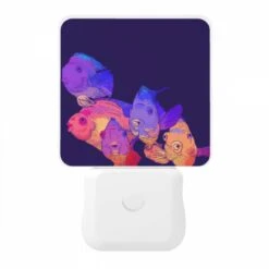 Night Light, A Group Of Fish With Different Colors And Sizes. -Cute Night Light Shop 2c43ce5e96a625029e9d0abd0ceaac4e736cb4dc