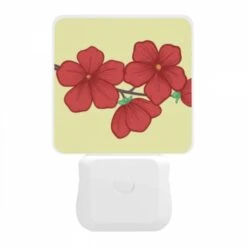 Night Light, E6d5d7a8-4d9c-424b-a68e-bcb03afd2abd.jpeg -Cute Night Light Shop 39006384b3965f1b08abba957d310e0430b1cd2f