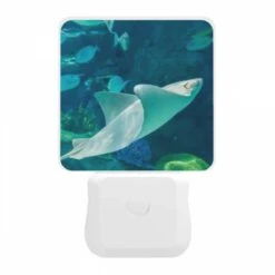 Night Light, A White Stingray Swims In The Ocean. -Cute Night Light Shop 3d42813487f1e10d759aaa9083f32b253b05fdd3