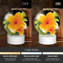 Round Acrylic Night Light, B35233ed-a2ad-4d69-89a1-a5ec0759e2b6.jpeg 4 Round Acrylic Night Light, B35233ed-a2ad-4d69-89a1-a5ec0759e2b6.jpeg -Cute Night Light Shop 3e82ad3cceaeefe154b5b7ccff2480691b53d7a0