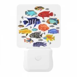 Night Light, A Collection Of Colorful Fish In A Circle. -Cute Night Light Shop 42a2df47c75fae6f2662b3106e33cc617f05dcb3