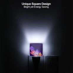 Night Light, A Group Of Fish With Different Colors And Sizes. -Cute Night Light Shop 449f64c648f86e49344e14a4b84036fc113c117f