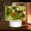 Rectangular Acrylic Night Light, A Bird Is Sitting On A Red Berry In A Forest. -Cute Night Light Shop 4d92e3ca9c4d13c3abba9c8a794979b909bd2133