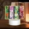 Rectangular Acrylic Night Light, Four Different Colored Designs Of A Face. -Cute Night Light Shop 534ac616ba3d976f622e6134c424915b2d0eb180
