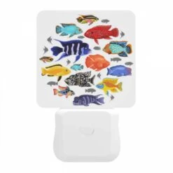 Night Light, A Collection Of Colorful Fish In A Circle. -Cute Night Light Shop 53f8740658e3166d8868f390270551159b4e3d36