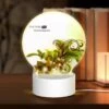 Round Acrylic Night Light, A Yellow And Green Floral Background. -Cute Night Light Shop 5b207d4738f71b787138151aa04ee15abb6f1215