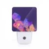 Night Light, A Group Of Fish With Different Colors And Sizes. -Cute Night Light Shop 6f1da61a063e1374d6ba30e8c9d2c3ebb0673f98