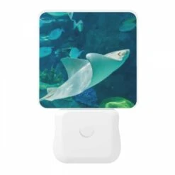Night Light, A White Stingray Swims In The Ocean. -Cute Night Light Shop 703ff38a221f883d97dc9ebfb544c7d5ba95e00e