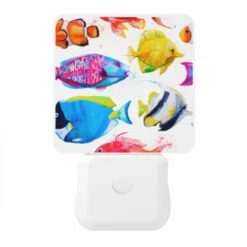 Night Light, A Collection Of Colorful Fish -Cute Night Light Shop 710557e7c0232d325077c8c8d22e1698c9f36be9