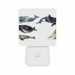 Night Light Set Of 2, A Collection Of Whale Illustrations Are Displayed In A Row. -Cute Night Light Shop 738cdd034657e74eff7a6a58693df6d21a09f81d