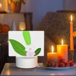 Rectangular Acrylic Night Light, A Pink Flower With Green Leaves. -Cute Night Light Shop 7cb2b29cd1032ba601fb916f95a931e8ff04872e