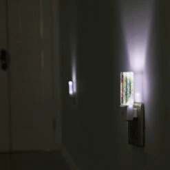 Night Light, Four Different Colored Paintings Of Birds. -Cute Night Light Shop 841b11e4f5f00ec703ecab06273c664eef46133b