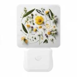 Night Light, A Collection Of Flowers And Leaves On A White Background. -Cute Night Light Shop 8a9b80da64aac810889abdc9c0a7756a8238faf7