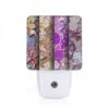 Night Light, Three Different Colored Paintings Of Flowers.
