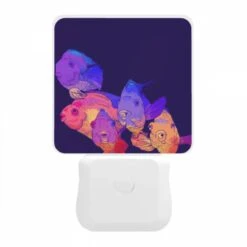 Night Light, A Group Of Fish With Different Colors And Sizes. -Cute Night Light Shop 9a3e8db0a76d9665e4d30afb29f22ba1b6973b3d