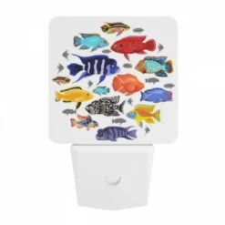 Night Light, A Collection Of Colorful Fish In A Circle. -Cute Night Light Shop b1c7f6e859546cea9e942d3a4328b3d4023a2b34