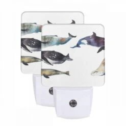 Night Light Set Of 2, A Collection Of Whale Illustrations Are Displayed In A Row.