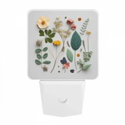 Night Light, A Collection Of Different Flowers And Leaves. 9 Night Light, A Collection Of Different Flowers And Leaves. -Cute Night Light Shop bea72ec87778129a8e64c0ca63a97ba58ceabd8e