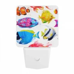 Night Light, A Collection Of Colorful Fish -Cute Night Light Shop c6820b1f78625972e12de7dacc39e4bd09137a1f