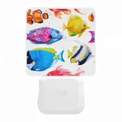 Night Light, A Collection Of Colorful Fish -Cute Night Light Shop c7cb76aef4d2ec9c3a49f7743a5c749562b23d88