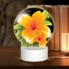 Round Acrylic Night Light, B35233ed-a2ad-4d69-89a1-a5ec0759e2b6.jpeg -Cute Night Light Shop d058d14ed7ed20427555f52f5f96e15d25f25206
