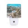 Night Light, A Colorful Fish Swims Through A Coral Reef. 2 Night Light, A Colorful Fish Swims Through A Coral Reef. -Cute Night Light Shop d356ad7a6bf86038b0ccef408315d3ecb27381e0