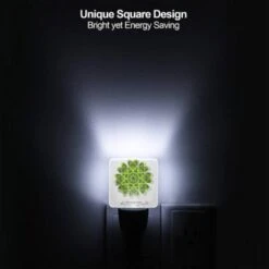 Night Light, B6d607d5-b4e4-480a-83b0-8a602fd6ece1.jpeg -Cute Night Light Shop d7a2f8d2d429ef966f5e66abd7054949a54bedfc