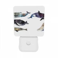 Night Light Set Of 2, A Collection Of Whale Illustrations Are Displayed In A Row. -Cute Night Light Shop dfd0203f359b413c357151c2fcd1fa6b00fc0010