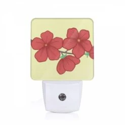 Night Light, E6d5d7a8-4d9c-424b-a68e-bcb03afd2abd.jpeg