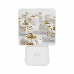 Night Light Set Of 2, A Group Of Gold And White Pumpkins. -Cute Night Light Shop e8ff3ab4e4ed6001a22df55701e0ba5412e4d82e