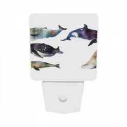 Night Light Set Of 2, A Collection Of Whale Illustrations Are Displayed In A Row. -Cute Night Light Shop f3f58c7969797df599492db978f591c72820e22c