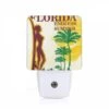 Night Light, A Woman Is Holding A Surfboard In Front Of A Tropical Beach. 1 Night Light, A Woman Is Holding A Surfboard In Front Of A Tropical Beach. -Cute Night Light Shop f7706e6980d599b0e53694e8d7b3da178f111d12